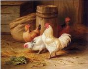 unknow artist Cock 187 china oil painting reproduction